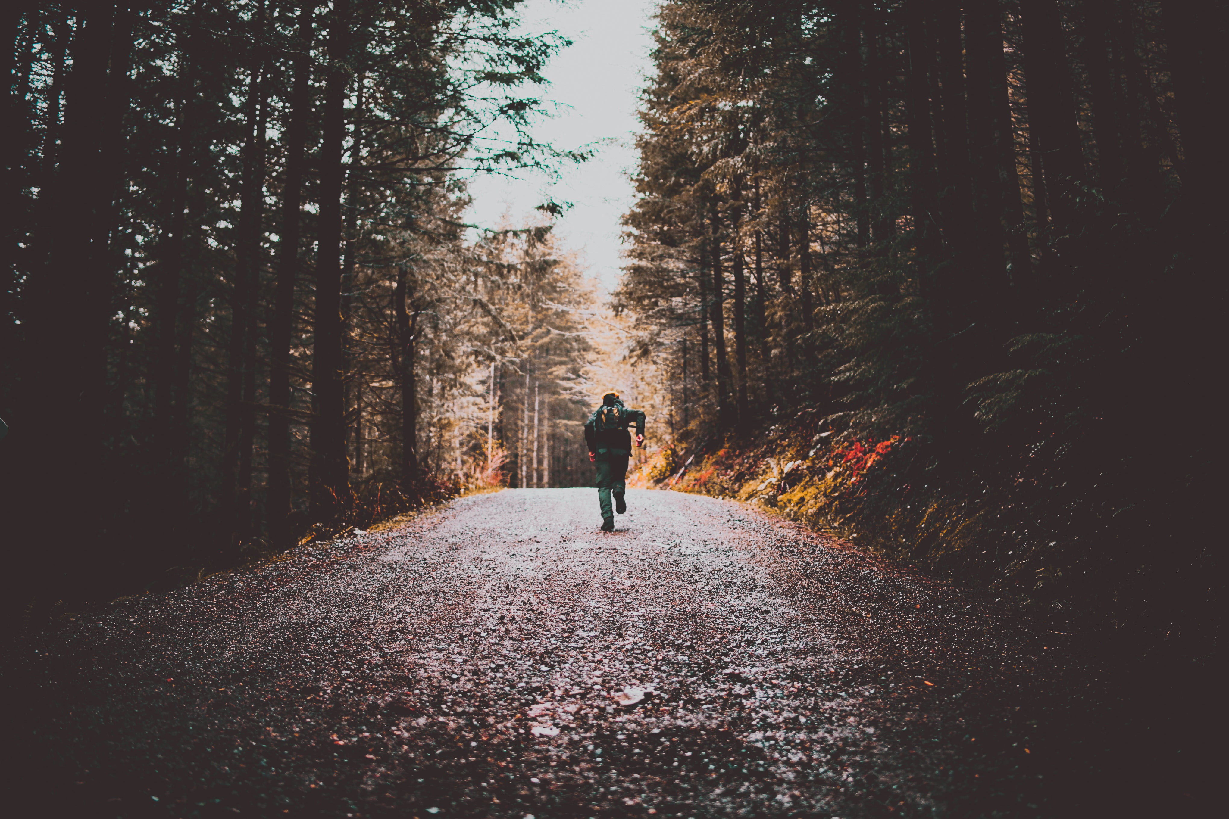 hiker-running-up-beaten-track-between-the-trees.jpg